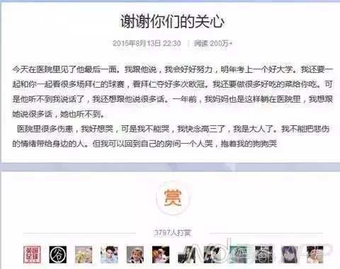 岳屾山律師央視新聞評論:“救人被狗咬”是騙捐！背后“黑手”都是誰？